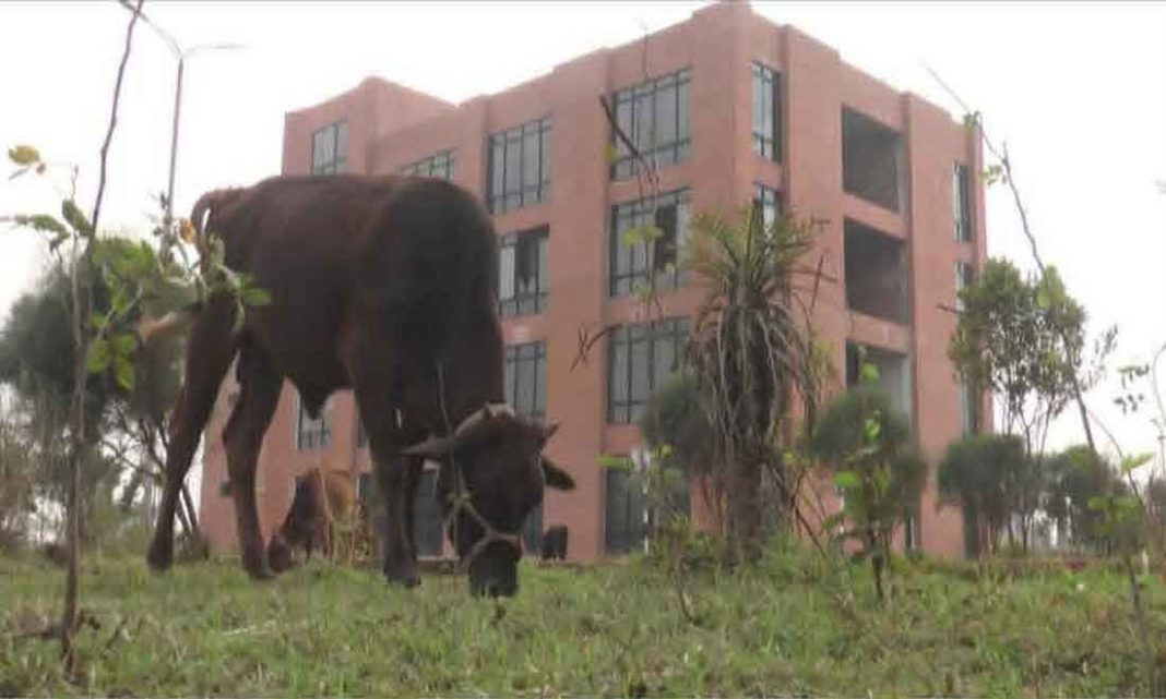 sangbad_bangla_1767185710